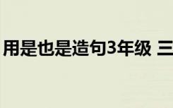 用是也是造句3年级 三年级作业用是也是造句