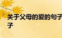 关于父母的爱的句子或诗 关于父母的爱的句子