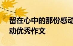 留在心中的那份感动800 留在心里的那份感动优秀作文