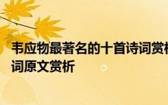 韦应物最著名的十首诗词赏析 韦应物的淮上喜会梁州故人诗词原文赏析