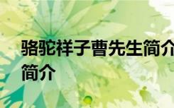 骆驼祥子曹先生简介100字 骆驼祥子曹先生简介