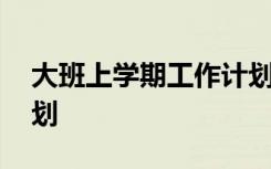 大班上学期工作计划总结 大班上学期工作计划