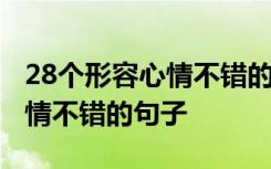 28个形容心情不错的句子有哪些 28个形容心情不错的句子