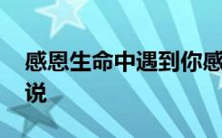 感恩生命中遇到你感言 感恩生命中的遇见说说