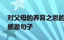 对父母的养育之恩的作文 对父母养育之恩的感恩句子