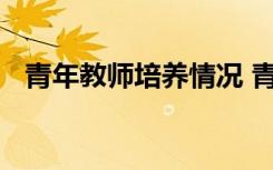 青年教师培养情况 青年教师个人培养总结