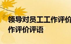 领导对员工工作评价怎么写 领导对员工的工作评价评语