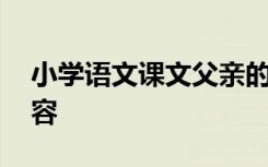 小学语文课文父亲的菜园 父亲的菜园课文内容