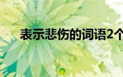 表示悲伤的词语2个字 表示悲伤的词语