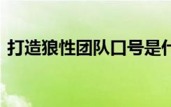 打造狼性团队口号是什么 打造狼性团队口号