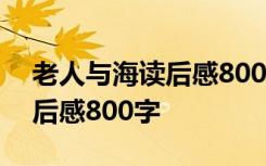 老人与海读后感800字高中作文 老人与海读后感800字