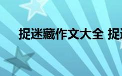 捉迷藏作文大全 捉迷藏优秀作文500字