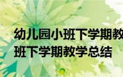 幼儿园小班下学期教学总结怎么写 幼儿园小班下学期教学总结