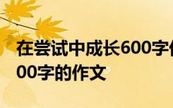 在尝试中成长600字优秀作文 在尝试中成长600字的作文