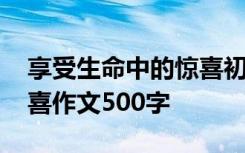 享受生命中的惊喜初中作文 享受生命中的惊喜作文500字