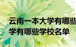 云南一本大学有哪些学校名单表 云南一本大学有哪些学校名单