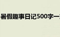 暑假趣事日记500字一篇 暑假趣事日记500字