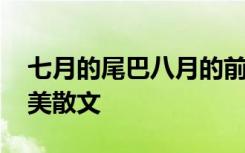 七月的尾巴八月的前奏说的是 七月的尾巴优美散文