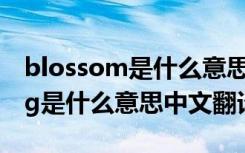 blossom是什么意思中文翻译成 blossoming是什么意思中文翻译