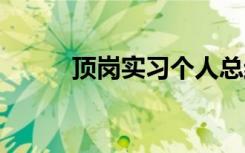 顶岗实习个人总结 实习报告个人