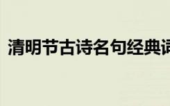 清明节古诗名句经典词句 清明节的古诗名句