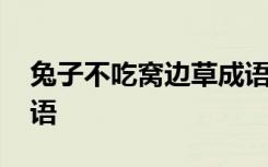 兔子不吃窝边草成语形容 兔子不吃窝边草成语