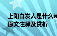 上阳白发人是什么诗 白居易《上阳白发人》原文注释及赏析