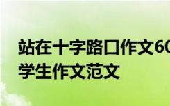 站在十字路口作文600记叙文 站在十字路口 学生作文范文