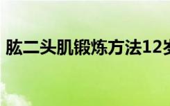 肱二头肌锻炼方法12岁 肱二头肌锻炼的方法