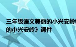 三年级语文美丽的小兴安岭教学视频 3年级语文上册《美丽的小兴安岭》课件