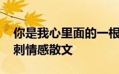 你是我心里面的一根刺 你就是我心里的一根刺情感散文