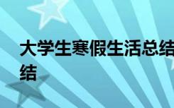 大学生寒假生活总结简短 大学生寒假生活总结