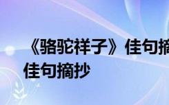 《骆驼祥子》佳句摘抄及感悟 《骆驼祥子》佳句摘抄