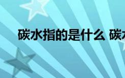 碳水指的是什么 碳水化合物指的是什么