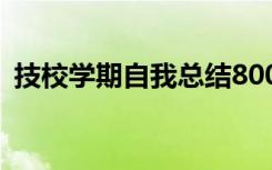 技校学期自我总结800字 技校学期自我总结