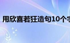 用欣喜若狂造句10个字 用成语欣喜若狂造句