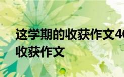 这学期的收获作文400字五点年级 这学期的收获作文