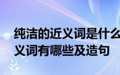 纯洁的近义词是什么反义词是什么 纯洁的近义词有哪些及造句