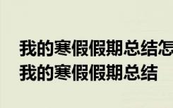 我的寒假假期总结怎么写小学四年级的学生 我的寒假假期总结