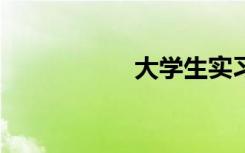 大学生实习日志15篇