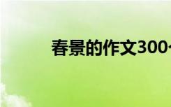 春景的作文300个字 春景的作文