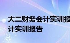 大二财务会计实训报告心得体会 大二财务会计实训报告