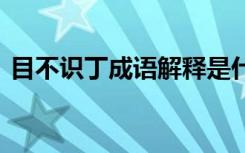 目不识丁成语解释是什么 目不识丁成语解释