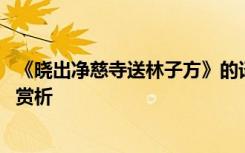 《晓出净慈寺送林子方》的译文 晓出净慈寺送林子方原文及赏析