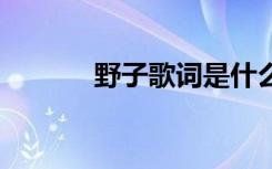 野子歌词是什么意思 野子歌词