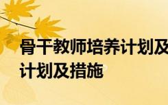 骨干教师培养计划及实施方案 骨干教师培养计划及措施