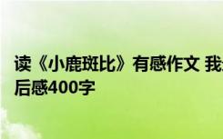 读《小鹿斑比》有感作文 我最爱的一本书：《小鹿斑比》读后感400字