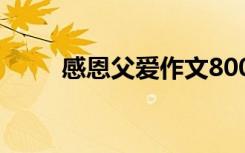 感恩父爱作文800字 感恩父爱作文