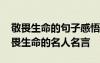 敬畏生命的句子感悟珍惜生命的说说 珍惜敬畏生命的名人名言