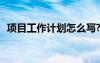 项目工作计划怎么写? 项目工作计划书模板